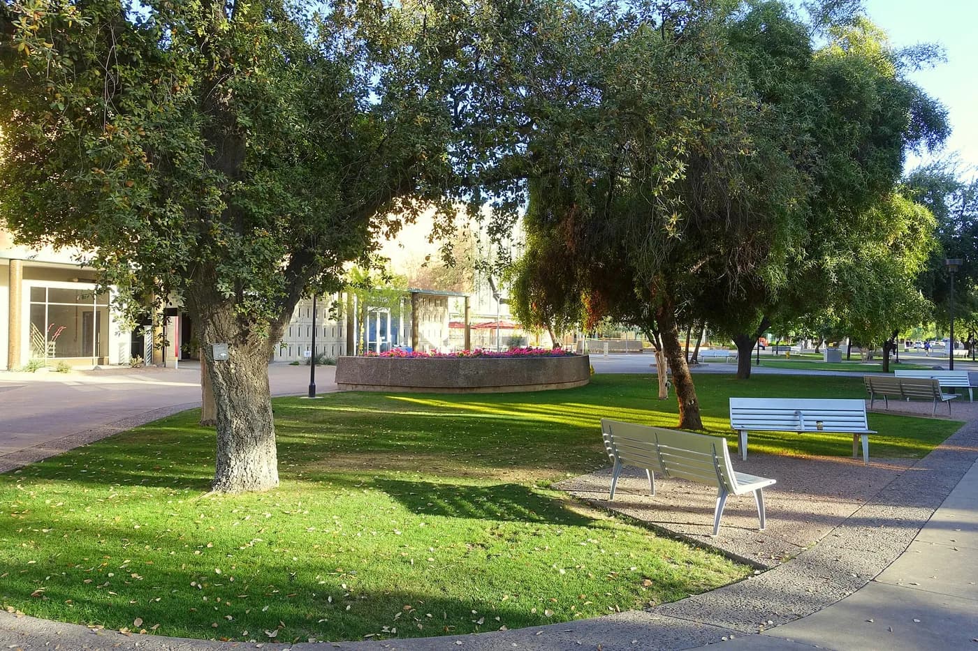 Arizona State University (ASU) — Campus view - Arizona State University - Tempe, AZ - DSC05932.JPG