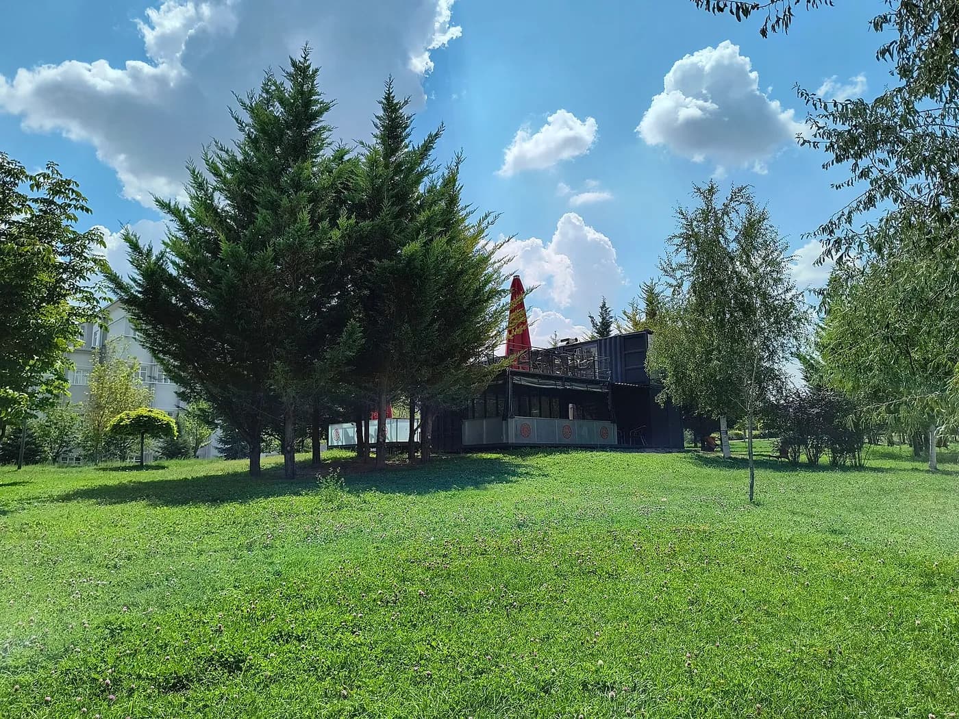 Hacettepe University