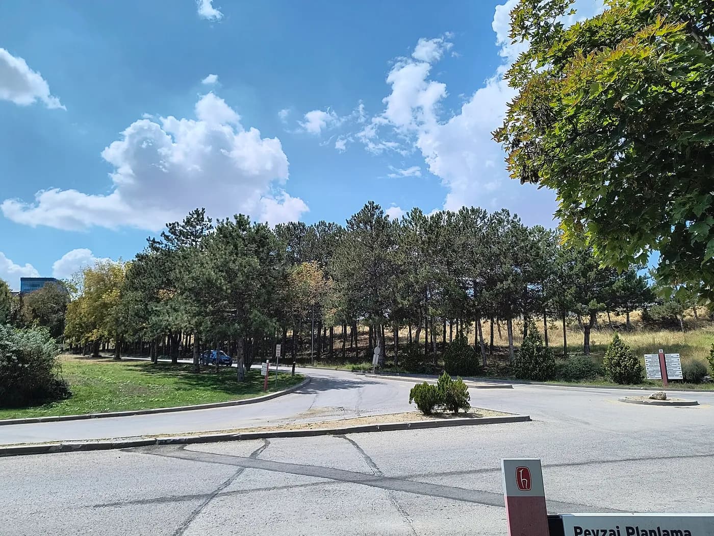 Hacettepe University — Hacettepe Üniversitesi Beytepe Kampüsü (24.08.2024) 298.jpg