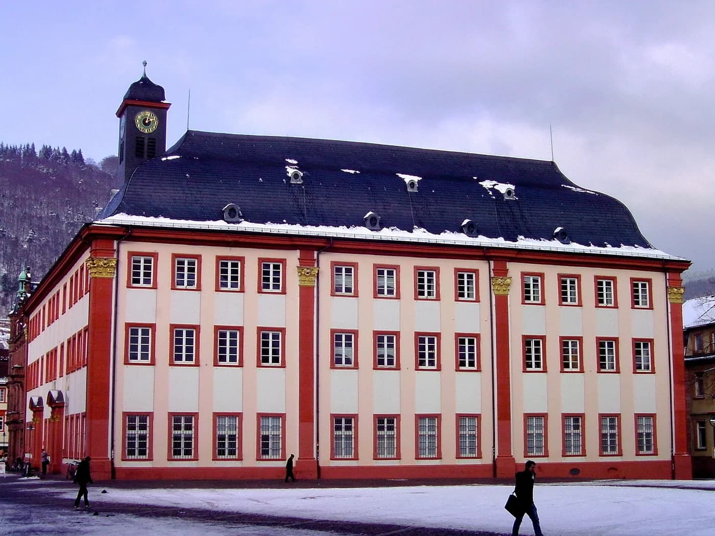 Heidelberg University